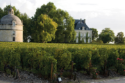 Château Latour 2006 Grand Vin
