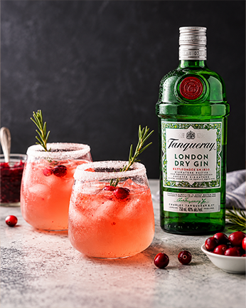 Tanqueray Gin Fizz